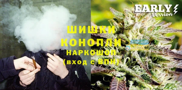 прущие грибы Гусь-Хрустальный
