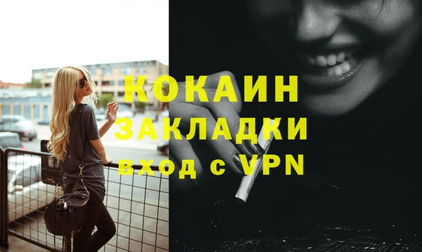 прущие грибы Гусиноозёрск
