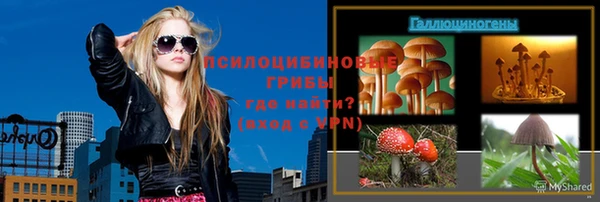прущие грибы Гусиноозёрск