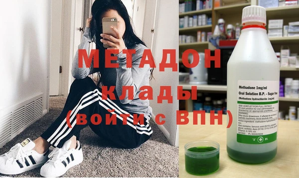 прущие грибы Гусиноозёрск