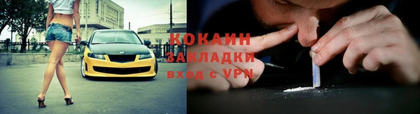 прущие грибы Гусиноозёрск