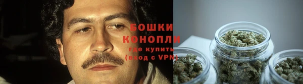 амф Майский
