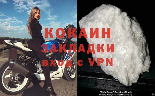 прущие грибы Гусь-Хрустальный