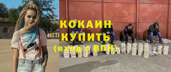 хмурый Гусев