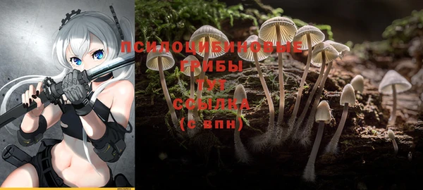 хмурый Гусев