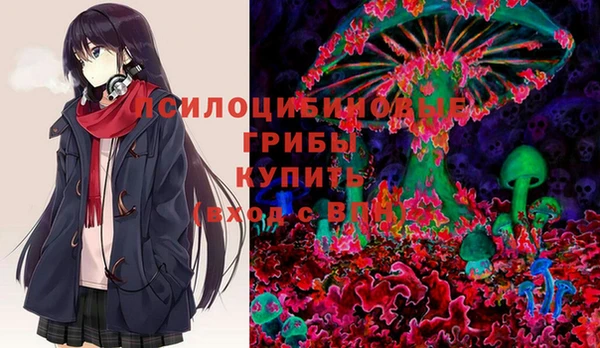 прущие грибы Гусиноозёрск