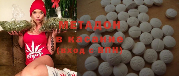 прущие грибы Гусиноозёрск