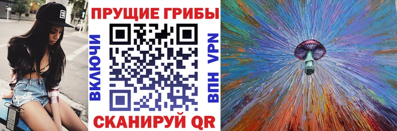 Псилоцибиновые грибы Cubensis  мориарти как зайти  Северо-Курильск  даркнет сайт 